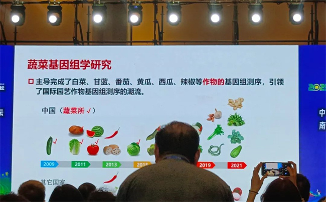 BOB体育登陆用种量前十省排名已革新！撑起环球最大菜蔬种子墟市(图4)