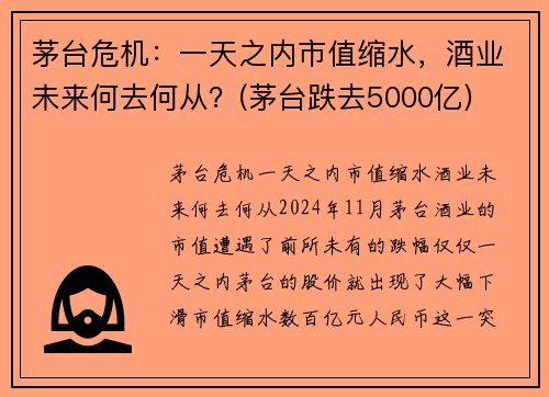 茅台危机：一天之内市值缩水，酒业未来何去何从？(茅台跌去5000亿)