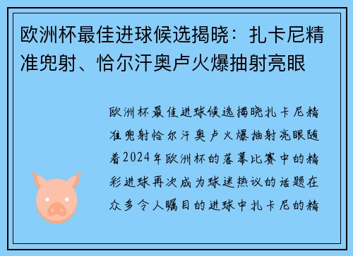 欧洲杯最佳进球候选揭晓：扎卡尼精准兜射、恰尔汗奥卢火爆抽射亮眼