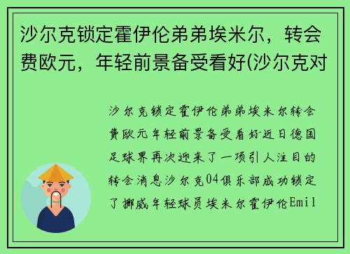 沙尔克锁定霍伊伦弟弟埃米尔，转会费欧元，年轻前景备受看好(沙尔克对霍分海姆)