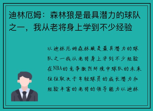 迪林厄姆：森林狼是最具潜力的球队之一，我从老将身上学到不少经验